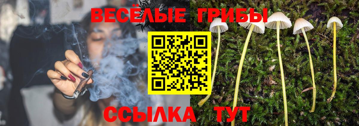 Галлюциногенные грибы MAGIC MUSHROOMS  Вход с VPN  Новосибирск 