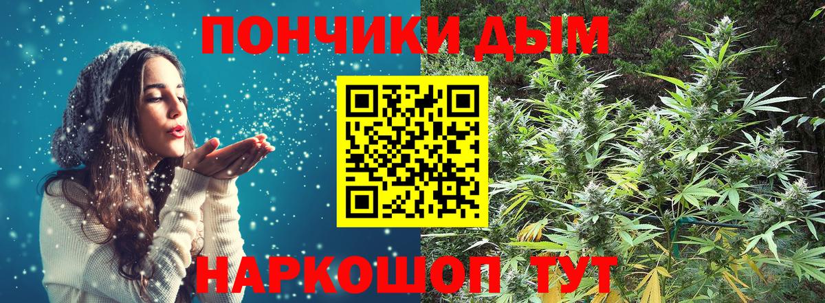 Канабис OG Kush Новосибирск